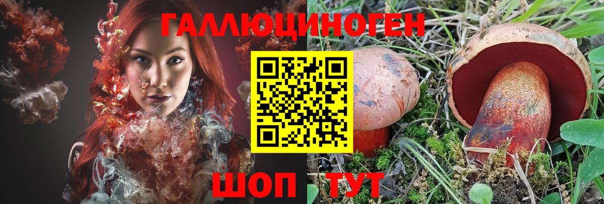 Псилоцибиновые грибы мицелий  Вход с VPN  Псилоцибиновые грибы Psilocybine cubensis  Тавда 