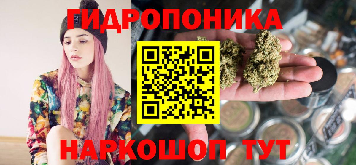 Бошки марихуана планчик Тавда